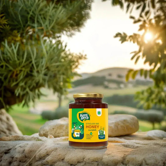 Stingless Bee Honey: 7 Health Benefits You Need to Know - Mantra Herbs
