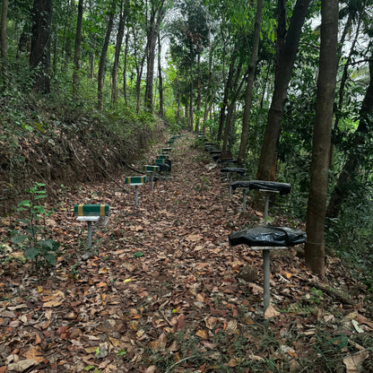 Stingless Honey Bee Colony – Pollination-Ready Bees for Garden, Farm & Polyhouse Mantra Herbs