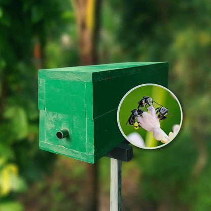 Stingless Honey Bee Colony – Pollination-Ready Bees for Garden, Farm & Polyhouse Mantra Herbs
